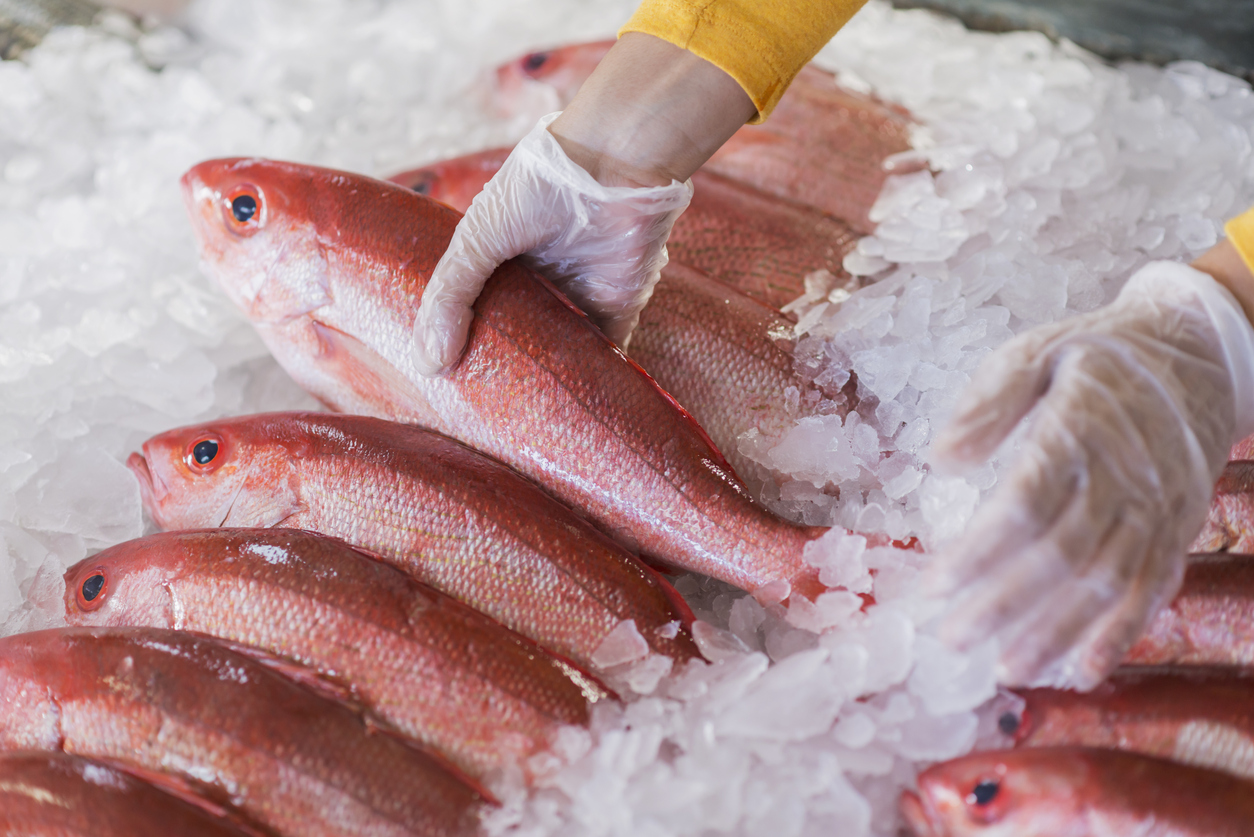 Como escolher o peixe congelado perfeito (+Dicas)